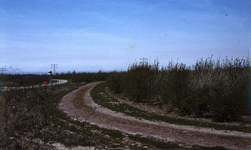 DIA00044 Fietspad en voetpad door de Bernisse, nabij Plaszicht; ca. 1985