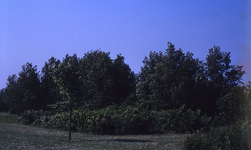 DIA00059 Recreatieveld langs de Bernisse; ca. 1985