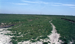 DIA00231 Het gebied rond de Bernisse voor de ontwikkeling tot recreatiegebied. Voetpad door Polder De Buitengorzen; 20 ...