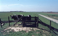 DIA00235 Het gebied rond de Bernisse voor de ontwikkeling tot recreatiegebied. De polder, gezien vanaf de Bernisse ...