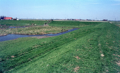 DIA00238 Het gebied rond de Bernisse voor de ontwikkeling tot recreatiegebied. Duiker onder de Bernisse Spuidijk aan de ...