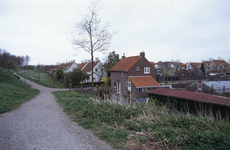 DIA02539 Woningen langs de Witte de Withstraat; ca. 1991