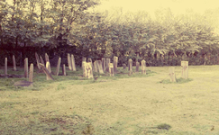 DIA15361 Grafstenen op de Joodse begraafplaats (1781) langs de Spuikade; 29 oktober 1983