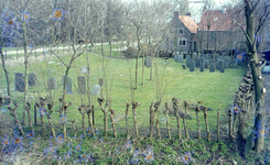 DIA15362 Grafstenen op de Joodse begraafplaats (1781) langs de Spuikade; 29 oktober 1983