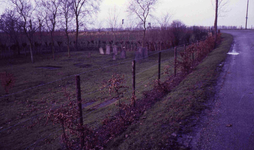 DIA15395 Grafsteen op de Joodse begraafplaats (1781) langs de Spuikade; 29 oktober 1983