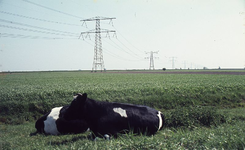 DIA16119 Uitzicht langs de Oud Hoenderhoeksedijk; ca. 1976