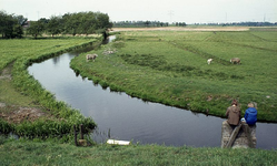 DIA16147 Kijkje op de polder; ca. 1976