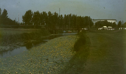 DIA16342 Heenvliet; ; De Bernisse, ca. 1985