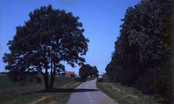 DIA16351 Fietspad tussen Heenvliet en het Kanaal door Voorne; ca. 1980