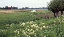 DIA16356 Kijkje op de Oudelandsedijk vanaf de Drieëndijk; ca. 1993