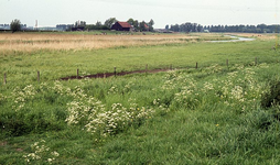 DIA16357 Kijkje op de Oudelandsedijk vanaf de Drieëndijk; ca. 1993