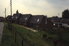 DIA18084 Woningen aan Den Hoek in Hekelingen; ca. 1979