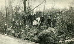 DIA30130 Stormschade in het Mildenburgbos; 1911