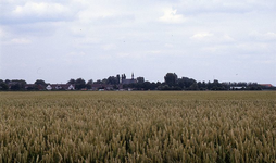 DIA35053 Landelijk gezicht op het dorp vanaf de Tussenweg. Uitgestrekte akkers met rijpend tarwe; ca. 1993