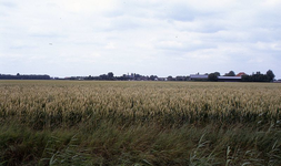 DIA35054 Landelijk gezicht op het dorp vanaf de Tussenweg. Uitgestrekte akkers met rijpend tarwe; ca. 1993