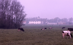 DIA36014 Kijkje in de richting van Vredeheim, de voormalige modderinrichting Walesteijn; 1979