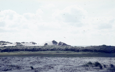 DIA36252 Natuurgebied Voornes Duin: vlakte achter de duinregel; ca. 1995