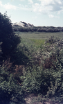 DIA36254 Natuurgebied Voornes Duin: vlakte achter de duinregel; ca. 1995