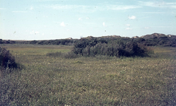 DIA36255 Natuurgebied Voornes Duin: vlakte achter de duinregel; ca. 1995