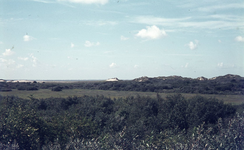 DIA36256 Natuurgebied Voornes Duin: vlakte achter de duinregel; ca. 1995