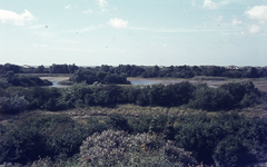 DIA36258 Natuurgebied Voornes Duin: vlakte met duinmeer achter de duinregel; ca. 1995