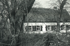 DIA36295 Woning van Pothof; Pasen 1966
