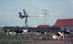 DIA39260 Boerderij van Leen van den Berg; ca. 1968