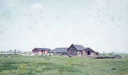 DIA39271 Boerderij aan de Schuddebeursedijk in Simonshaven; ca. 1968