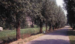 DIA40606 Fietspad en bomen langs de Vierambachtenboezem; 27 juli 1979