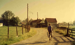 DIA41558 Woningen langs de Sintelweg; September 1963