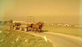 DIA41577 Paarden voor lege hooiwagens; September 1963