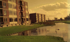 DIA41776 140 Woningwetwoningen in de wijk Schiekamp Zuid; 1966