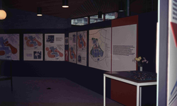 DIA42052 Spijkenisse; ; De expositie Van Wijken weten in de bibliotheek: de stand van het Stadscentrum, September 1972