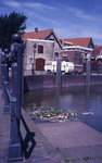 DIA42205 Spijkenisse; ; Afval drijft tussen de waterlelies in de Oude Haven, ca. 1985