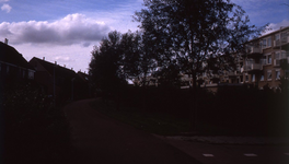 DIA42818 Fietspad over de Meeldijk, rechts de Zuidakker; September 1988