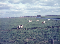 DIA42943 De Vierambachtenboezem gezien naar het noorden; ca. 1965