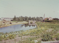 DIA42947 De Vierambachtenboezem met de Derde Heulbrug bij de Breekade; ca. 1965