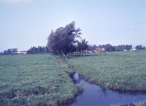 DIA42948 De polder rond Spijkenisse nabij de Malledijk en Westdijk; ca. 1965