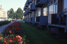 DIA43916 De Anjerstraat; ca. 1978