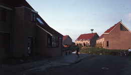 DIA44177 Borstelgras; Februari 1982