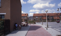 DIA44265 De Liesgras richtig de Westdijk; Augustus 1983