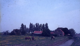 DIA69378 Woningen langs de Oude Veerdam; ca. 1982