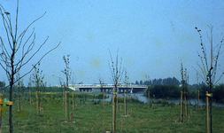 DIA69407 Overbrugging van De Bernisse door de Nieuwe Veerdam ; ca. 1982