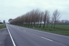 DIA70050 De Groene Kruisweg tussen de kruising van de N57 en het dorp Zwartewaal; ca. 1991