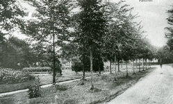 DIA_PB0081 Aanplant langs de Parklaan; ca. 1935