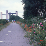 DIA_GF_1500 Fietspad op de oostelijke oprit van de Calandbrug met rode papavers; 5 juli 1984