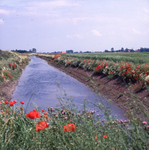 DIA_GF_1521 Een nieuwe sloot gegraven in verband met de landinrichting. De sloot loopt van de Noorddijk naar de ...