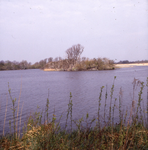 DIA_GF_1590 Het eilandje met aalscholvers in het Brede Water; 2 april 1990