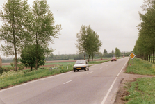 AB_HAASDIJK_019 Kijkje op de Haasdijk; 29 juni 1999