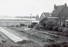 AB_HAASDIJK_030 Het tuindersbedrijf Iz. van den Hoonaard en Jaapje Noordermeer; ca. 1970